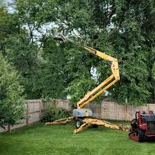 Best Tree Mulching  in Garyville, LA