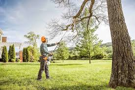 Best Tree and Shrub Care  in Garyville, LA